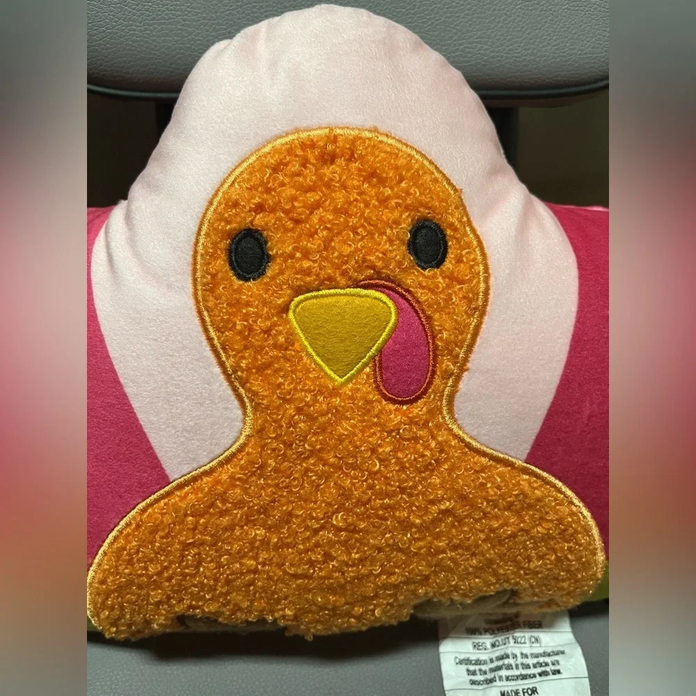 6/$25 Target Multicolor Turkey Accent Pillow